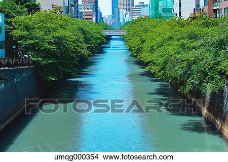 Fresh green at Meguro river, Tokyo, Japan View Large Photo Image Picture - Fresh green at Meguro river, Tokyo, Japan. Fotosearch