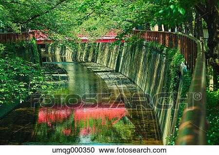 Fresh green at Meguro river, Tokyo, Japan View Large Photo Image Stock Image - Fresh green at Meguro river, Tokyo, Japan. Fotosearch