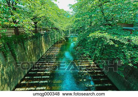 Stock Photo - Fresh green at Meguro river, Tokyo, Japan. Fotosearch