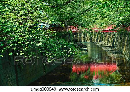 Fresh green at Meguro river, Tokyo, Japan View Large Photo Image Stock Photo - Fresh green at Meguro river, Tokyo, Japan. Fotosearch