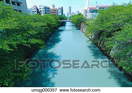 Stock Photo - Fresh green at Meguro river, Tokyo, Japan. Fotosearch