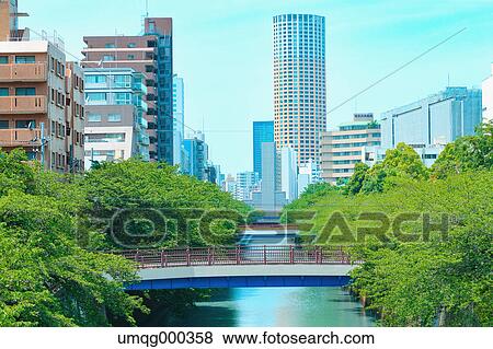 Fresh green at Meguro river, Tokyo, Japan View Large Photo Image Stock Photo - Fresh green at Meguro river, Tokyo, Japan. Fotosearch
