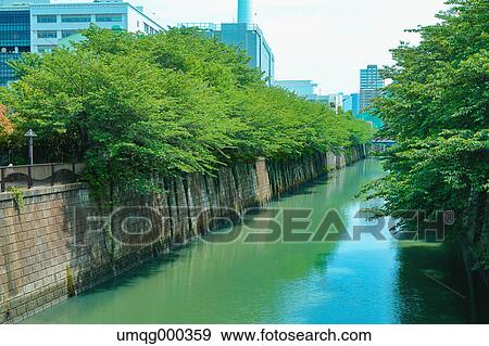 Fresh green at Meguro river, Tokyo, Japan View Large Photo Image Stock Photo - Fresh green at Meguro river, Tokyo, Japan. Fotosearch