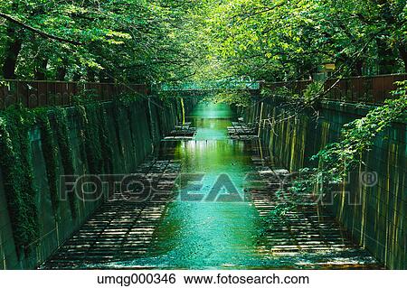 Fresh green at Meguro river, Tokyo, Japan View Large Photo Image Stock Photograph - Fresh green at Meguro river, Tokyo, Japan. Fotosearch
