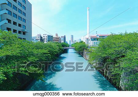 Fresh green at Meguro river, Tokyo, Japan View Large Photo Image Stock Photograph - Fresh green at Meguro river, Tokyo, Japan. Fotosearch
