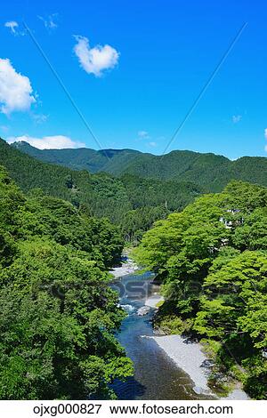 Fresh green at Otaki Valley, Tokyo, Japan View Large Photo Image Stock Photo - Fresh green at Otaki Valley, Tokyo, Japan. Fotosearch