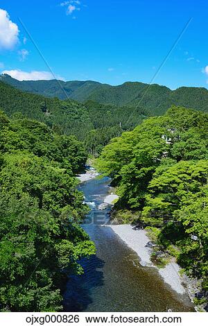 Fresh green at Otaki Valley, Tokyo, Japan View Large Photo Image Stock Photograph - Fresh green at Otaki Valley, Tokyo, Japan. Fotosearch