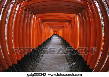 Stock Image - Fushimi Inari shrine, Kyoto, Japan. Fotosearch