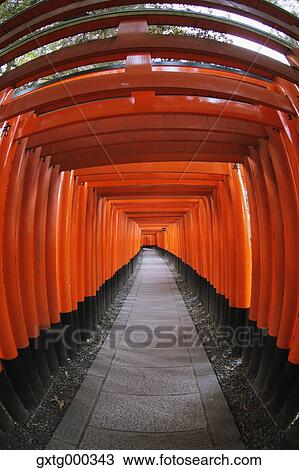 Fushimi Inari shrine, Kyoto, Japan View Large Photo Image Stock Image - Fushimi Inari shrine, Kyoto, Japan. Fotosearch