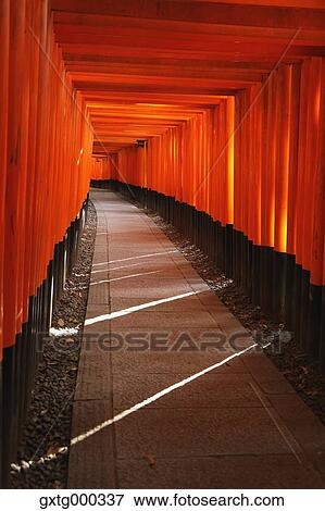 Fushimi Inari shrine, Kyoto, Japan View Large Photo Image Stock Photo - Fushimi Inari shrine, Kyoto, Japan. Fotosearch