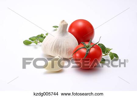 Garlic View Large Photo Image Picture - Garlic. Fotosearch