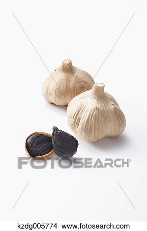 Picture - Garlic. Fotosearch