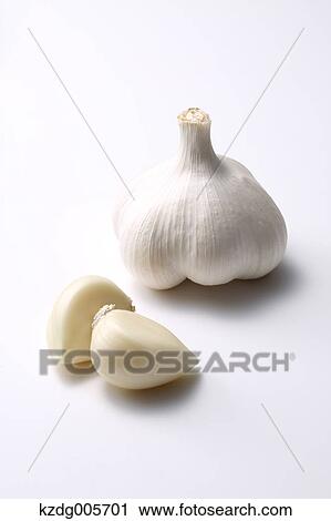 Garlic View Large Photo Image Stock Image - Garlic. Fotosearch