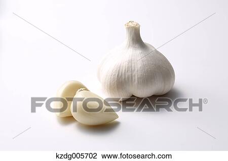 Garlic View Large Photo Image Stock Image - Garlic. Fotosearch