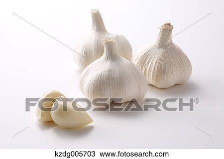 Garlic View Large Photo Image Stock Image - Garlic. Fotosearch