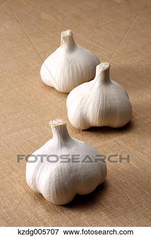 Stock Photo - Garlic. Fotosearch