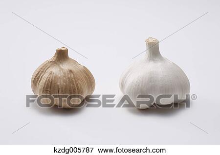 Stock Photo - Garlic. Fotosearch