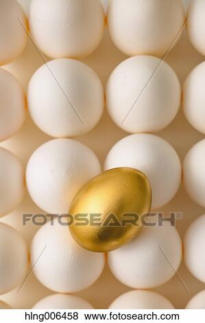 Stock Photo - Golden egg. Fotosearch