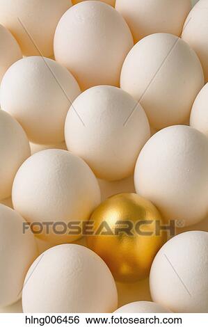 Golden egg View Large Photo Image Stock Photograph - Golden egg. Fotosearch