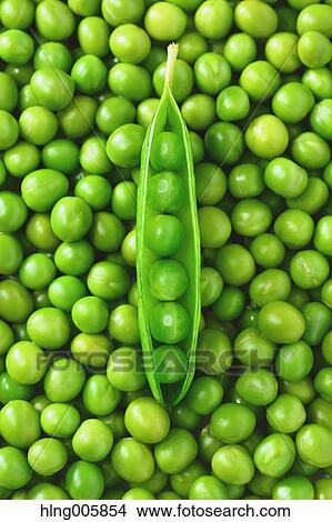 Picture - Green peas. Fotosearch