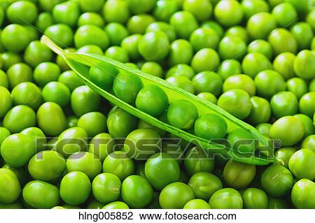 Green peas View Large Photo Image Stock Image - Green peas. Fotosearch
