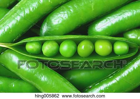 Green peas View Large Photo Image Stock Image - Green peas. Fotosearch