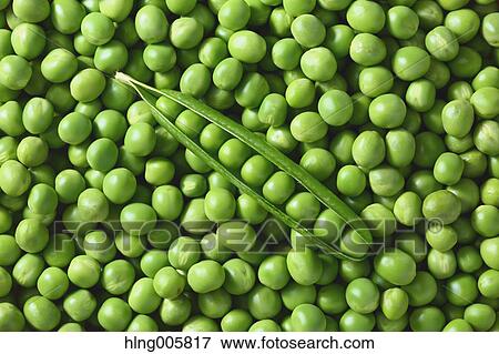 Green peas View Large Photo Image Stock Photo - Green peas. Fotosearch