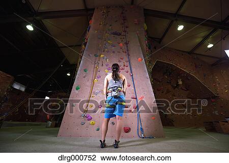 Japanese climbing athlete getting ready to climb gym wall View Large Photo Image Stock Image - Japanese climbing athlete getting ready to climb gym wall. Fotosearch