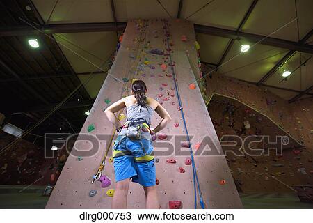 Japanese climbing athlete getting ready to climb gym wall View Large Photo Image Stock Image - Japanese climbing athlete getting ready to climb gym wall. Fotosearch