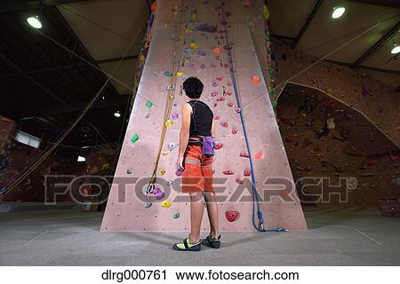 Japanese climbing athlete getting ready to climb gym wall View Large Photo Image Stock Image - Japanese climbing athlete getting ready to climb gym wall. Fotosearch