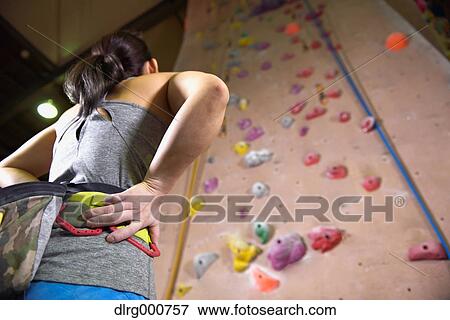 Japanese climbing athlete getting ready to climb gym wall View Large Photo Image Stock Photo - Japanese climbing athlete getting ready to climb gym wall. Fotosearch