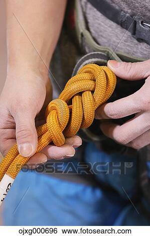 Japanese climbing athlete getting ready to climb gym wall View Large Photo Image Stock Photograph - Japanese climbing athlete getting ready to climb gym wall. Fotosearch