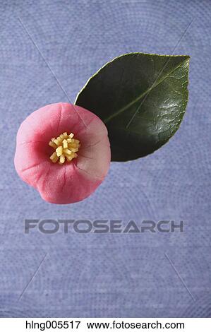 Stock Photo - Japanese confectionery. Fotosearch