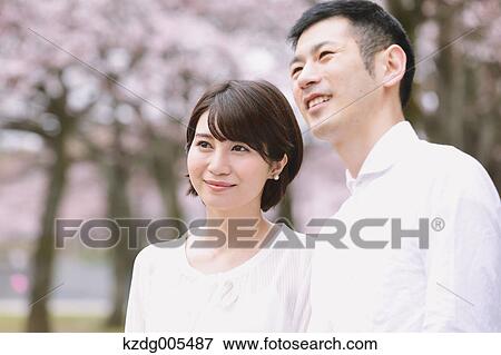 Japanese couple with cherry blossoms in a city park View Large Photo Image Stock Photo - Japanese couple with cherry blossoms in a city park. Fotosearch
