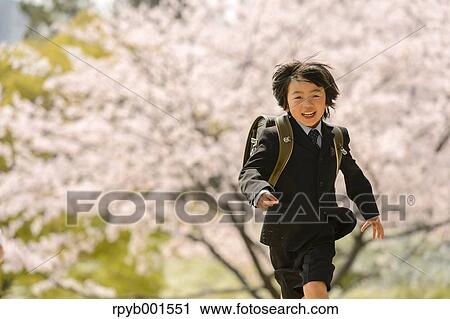 Stock Image - Japanese elementary school student and cherry blossoms. Fotosearch