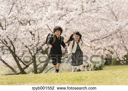 Japanese elementary school students and cherry blossoms View Large Photo Image Stock Image - Japanese elementary school students and cherry blossoms. Fotosearch