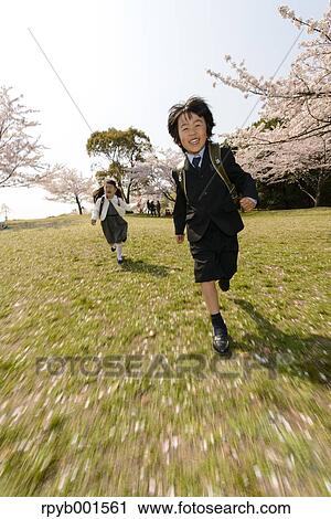 Japanese elementary school students and cherry blossoms View Large Photo Image Stock Image - Japanese elementary school students and cherry blossoms. Fotosearch