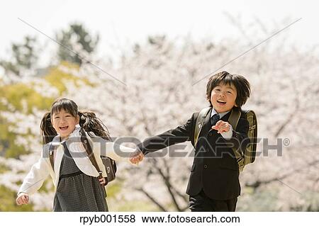 Japanese elementary school students and cherry blossoms View Large Photo Image Stock Photo - Japanese elementary school students and cherry blossoms. Fotosearch