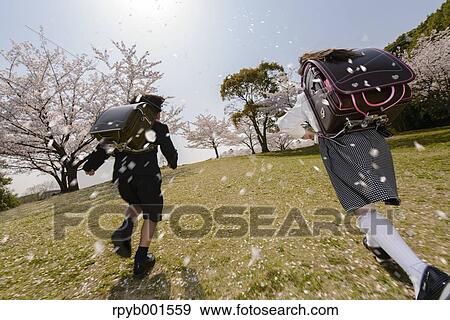 Japanese elementary school students and cherry blossoms View Large Photo Image Stock Photo - Japanese elementary school students and cherry blossoms. Fotosearch