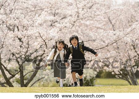 Japanese elementary school students and cherry blossoms View Large Photo Image Stock Photograph - Japanese elementary school students and cherry blossoms. Fotosearch