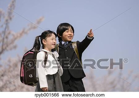 Japanese elementary school students and cherry blossoms View Large Photo Image Stock Photograph - Japanese elementary school students and cherry blossoms. Fotosearch