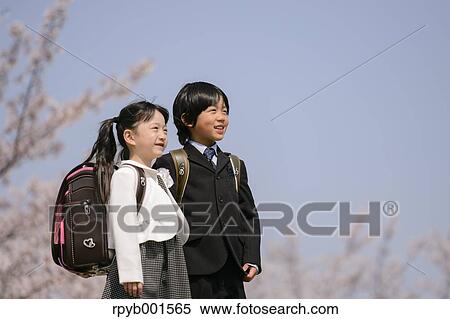 Japanese elementary school students and cherry blossoms View Large Photo Image Stock Photography - Japanese elementary school students and cherry blossoms. Fotosearch