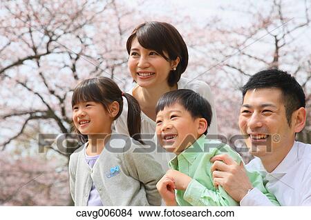 Japanese family with cherry blossoms in a city park View Large Photo Image Picture - Japanese family with cherry blossoms in a city park. Fotosearch