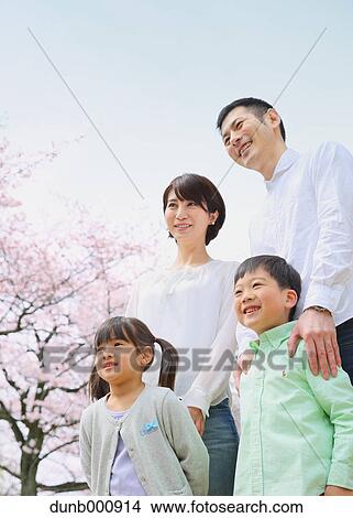 Japanese family with cherry blossoms in a city park View Large Photo Image Picture - Japanese family with cherry blossoms in a city park. Fotosearch
