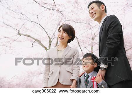Japanese family with cherry blossoms in a city park View Large Photo Image Stock Image - Japanese family with cherry blossoms in a city park. Fotosearch