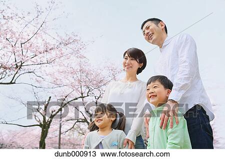 Stock Image - Japanese family with cherry blossoms in a city park. Fotosearch