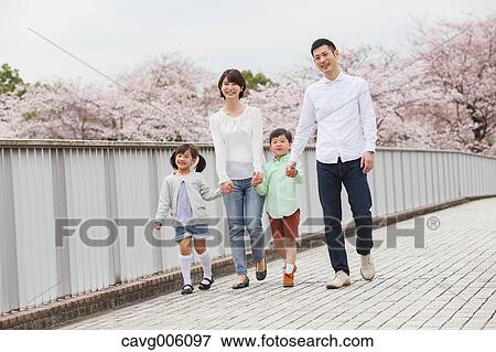 Japanese family with cherry blossoms in a city park View Large Photo Image Stock Photo - Japanese family with cherry blossoms in a city park. Fotosearch