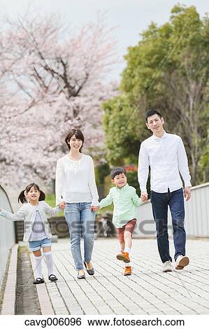 Japanese family with cherry blossoms in a city park View Large Photo Image Stock Photograph - Japanese family with cherry blossoms in a city park. Fotosearch