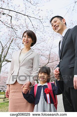 Japanese family with cherry blossoms in a city park View Large Photo Image Stock Photography - Japanese family with cherry blossoms in a city park. Fotosearch