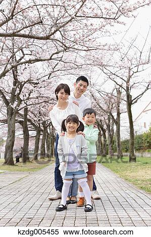 Japanese family with cherry blossoms in a city park View Large Photo Image Stock Photography - Japanese family with cherry blossoms in a city park. Fotosearch